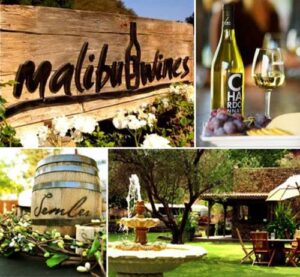 Wine-Tour-Malibu