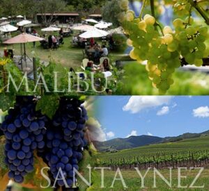 malibu_santa-ynez-wine-tour