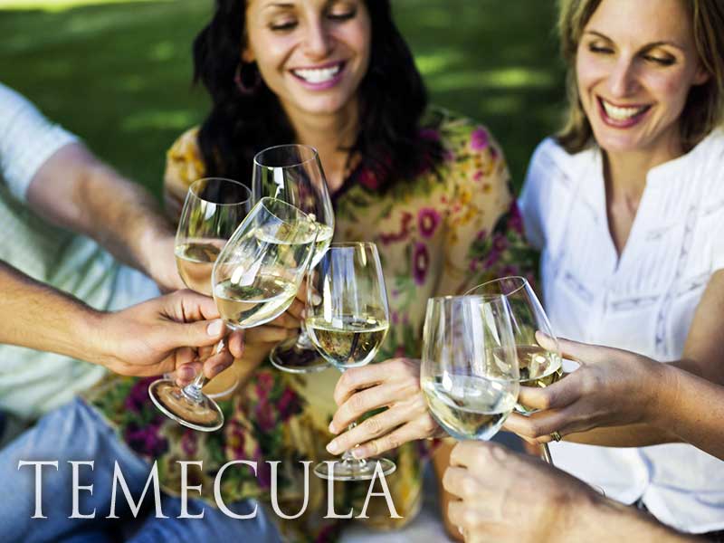 temecula-wine-tours-best-limo-service