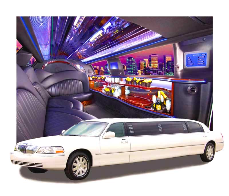 Limousine Cover Super Quality Heavy-Duty Limo Cover fits Lincoln Town Car Stretch Limousine up to 25 in total length 78-90 stretch 
